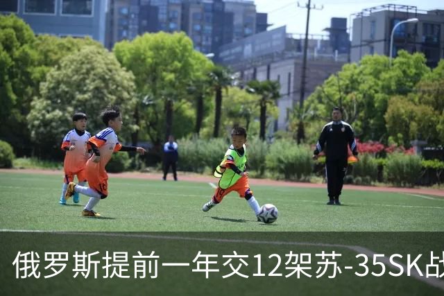 俄罗斯提前一年交12架苏-35SK战机给埃塞俄比亚，后续有4套S-400待接收，这是产能提升了？