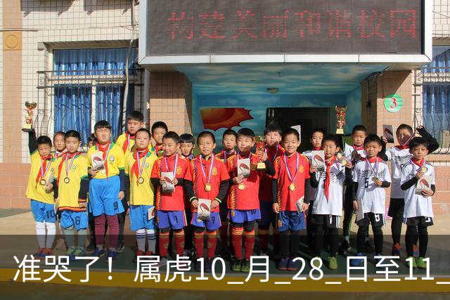 准哭了！属虎10 月 28 日至11 月 3 日，有大事要发生