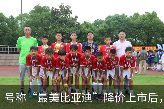 号称“最美比亚迪”降价上市后，或许要再次降价了！