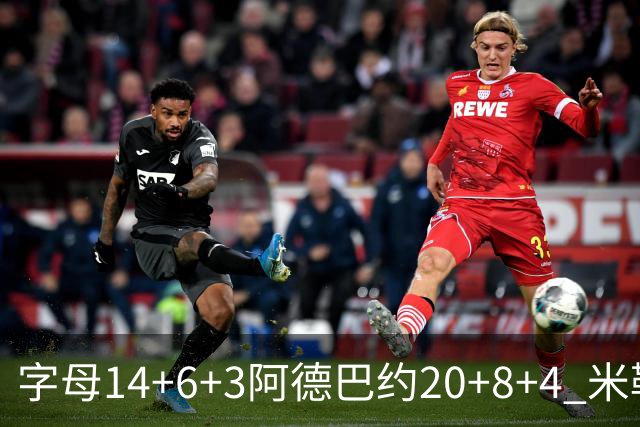 字母14+6+3阿德巴约20+8+4 米勒34分黄蜂送热火3连败