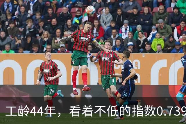 工龄44年，看着不低的指数0.7397， 湖北荆州退休，养老金能达不到一年100元吗？