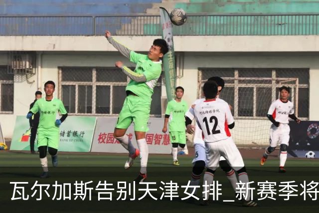 瓦尔加斯告别天津女排 新赛季将全程代表费内出战