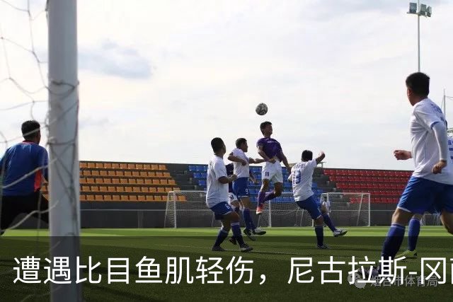 遭遇比目鱼肌轻伤，尼古拉斯-冈萨雷斯社媒表态要强势回归