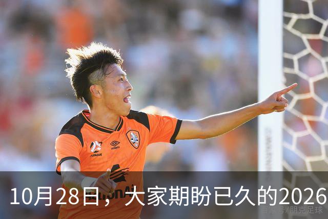 10月28日，大家期盼已久的2026退休养老金，究竟涨还是不涨？