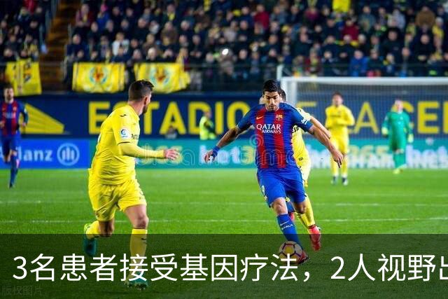 3名患者接受基因疗法，2人视野出现改善