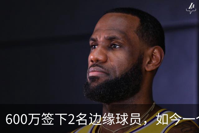 600万签下2名边缘球员，如今一个场均11+3，一个9+2+1，湖人真捡到宝了