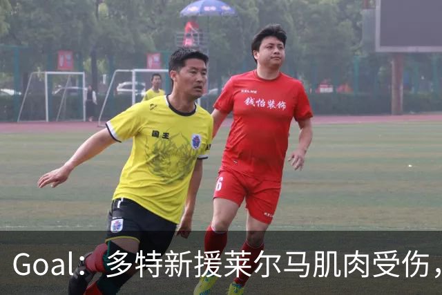 Goal：多特新援莱尔马肌肉受伤，复出时间未定
