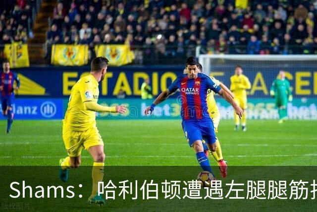 Shams：哈利伯顿遭遇左腿腿筋拉伤 将至少缺席两周